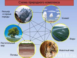 Схема природного комплекса
