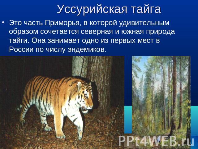 Уссурийская тайга Это часть Приморья, в которой удивительным образом сочетается северная и южная природа тайги. Она занимает одно из первых мест в России по числу эндемиков.