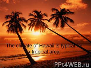 The climate of Hawaii is typical for a tropical area