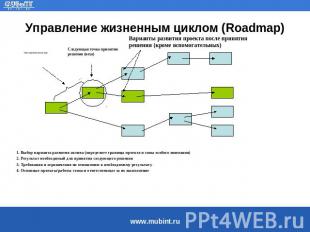 Управление жизненным циклом (Roadmap) 1. Выбор варианта развития актива (определ