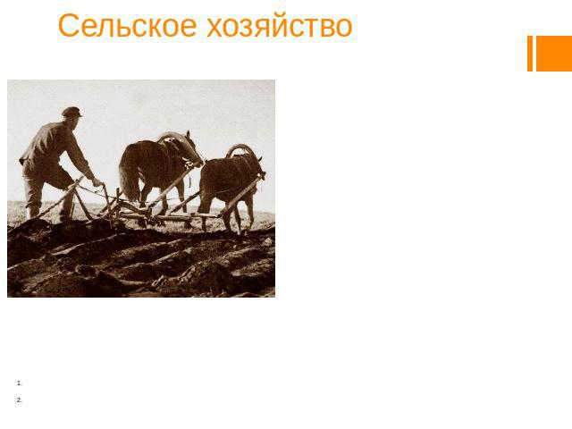 Сельское хозяйство Успехи сельского хозяйства определяли не современная техника, высокоурожайные сорта зерновых: поля обрабатывались старым способом, не удобрялась, урожайность была низкой, земли крестьянским хозяйствам не хватало. В Центральной Рос…
