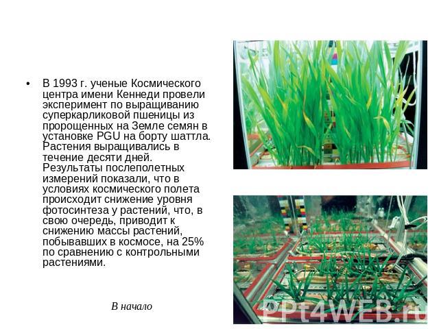 В 1993 г. ученые Космического центра имени Кеннеди провели эксперимент по выращиванию суперкарликовой пшеницы из пророщенных на Земле семян в установке PGU на борту шаттла. Растения выращивались в течение десяти дней. Результаты послеполетных измере…
