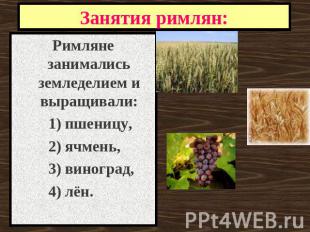 Занятия римлян: Римляне занимались земледелием и выращивали: 1) пшеницу, 2) ячме