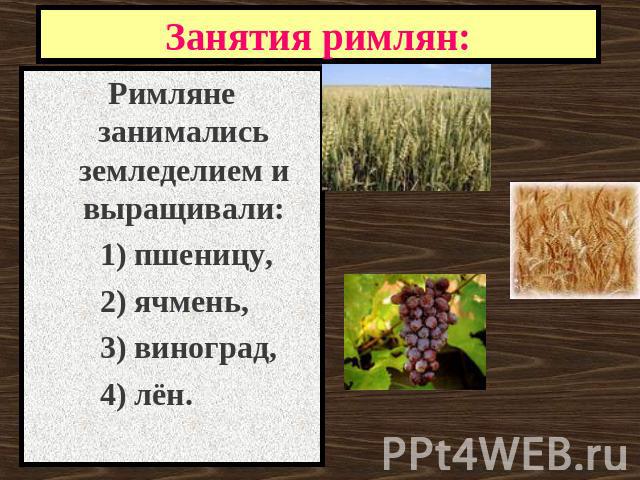 Занятия римлян: Римляне занимались земледелием и выращивали: 1) пшеницу, 2) ячмень, 3) виноград, 4) лён.