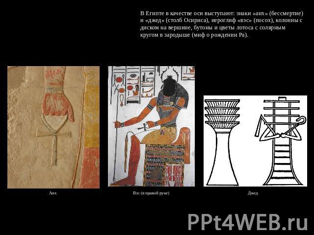 В Египте в качестве оси выступают: знаки «анх» (бессмертие) и «джед» (столб Осириса), иероглиф «вэс» (посох), колонны с диском на вершине, бутоны и цветы лотоса с солярным кругом в зародыше (миф о рождении Ра). Анх Вэс (в правой руке) Джед