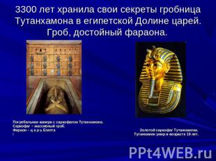 3300 лет хранила свои секреты гробница Тутанхамона в египетской Долине царей. Гр