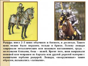 Рыцарь имел 2–3 коня: обычного и боевого, в доспехах. Такого коня можно было пор