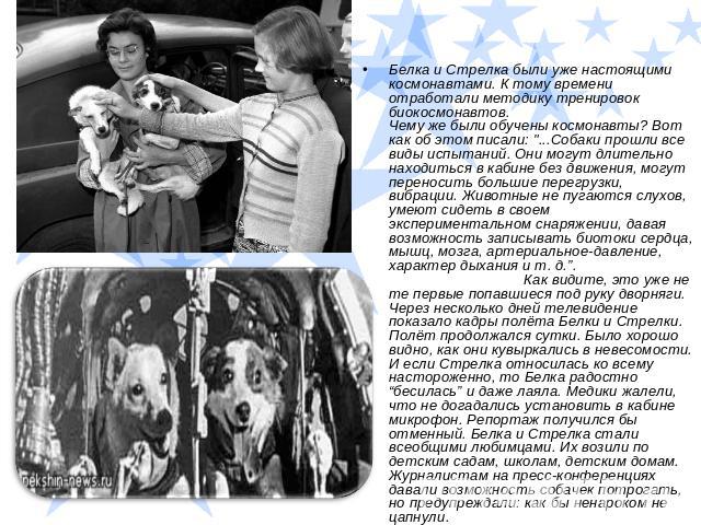 Белка и Стрелка были уже настоящими космонавтами. К тому времени отработали методику тренировок биокосмонавтов. Чему же были обучены космонавты? Вот как об этом писали: 