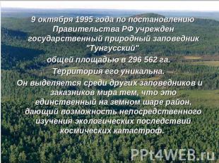 9 октября 1995 года по постановлению Правительства РФ учрежден государственный п