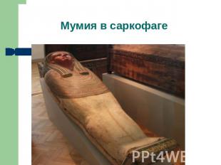 Мумия в саркофаге