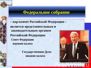 Федеральное собрание – парламент Российской Федерации – является представительны