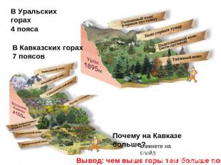 В Уральских горах 4 пояса В Кавказских горах 7 поясов Почему на Кавказе больше?