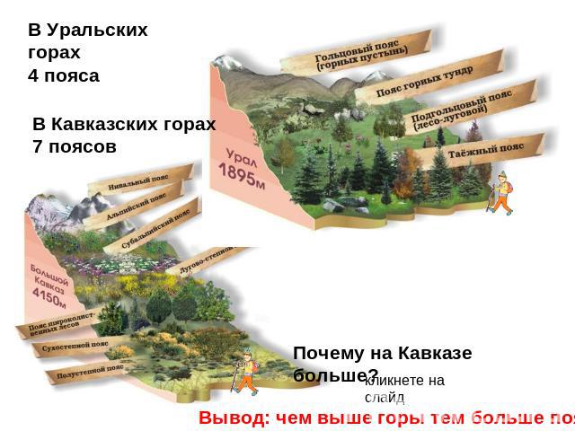 В Уральских горах 4 пояса В Кавказских горах 7 поясов Почему на Кавказе больше? Вывод: чем выше горы тем больше поясов