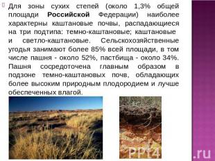 Для зоны сухих степей (около 1,3% общей площади Российской Федерации) наиболее х