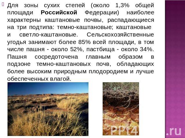 Для зоны сухих степей (около 1,3% общей площади Российской Федерации) наиболее характерны каштановые почвы, распадающиеся на три подтипа: темно-каштановые; каштановые и светло-каштановые. Сельскохозяйственные угодья занимают более 85% всей площади, …