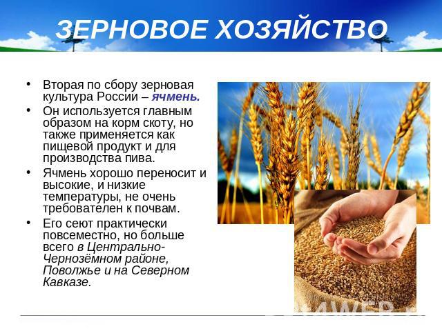 ЗЕРНОВОЕ ХОЗЯЙСТВО Вторая по сбору зерновая культура России – ячмень. Он используется главным образом на корм скоту, но также применяется как пищевой продукт и для производства пива. Ячмень хорошо переносит и высокие, и низкие температуры, не очень …