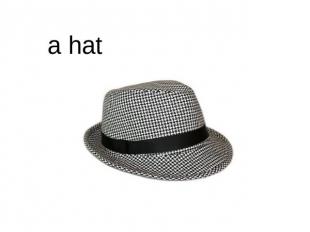 a hat