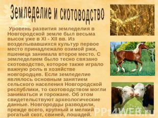 Земледелие и скотоводство Уровень развития земледелия в Новгородской земле был в