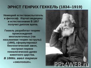 ЭРНСТ ГЕНРИХ ГЕККЕЛЬ (1834–1919) Немецкий естествоиспытатель и философ. Изучал м