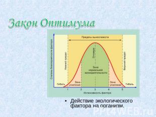 Закон Оптимума Действие экологического фактора на организм.