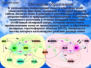 Механизм образования К уменьшению концентрации озона в атмосфере ведёт совокупно