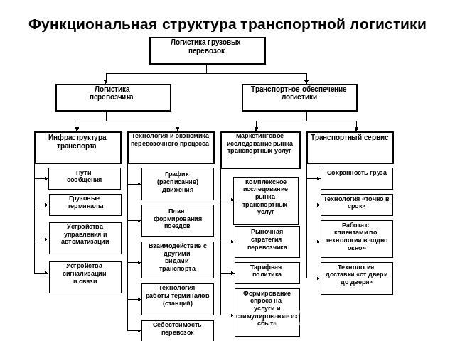 Функциональная структура транспортной логистики