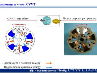 Компоненты – узел CVVT CVVT – вид сбоку Вил со стороны распредвала Подача масла