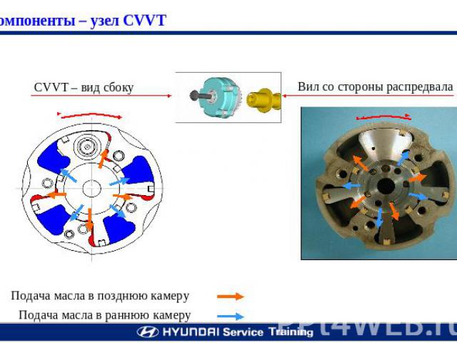 Компоненты – узел CVVT CVVT – вид сбоку Вил со стороны распредвала Подача масла в позднюю камеруПодача масла в раннюю камеру