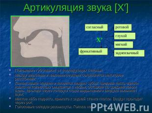 Артикуляция звука [Х′] согласныйфрикативныйротовойглухоймягкийзаднеязычный Полож