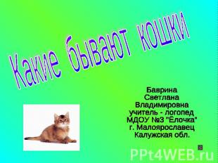Какие бывают кошки Баврина СветланаВладимировнаучитель - логопедМДОУ №3 "Ёлочка"