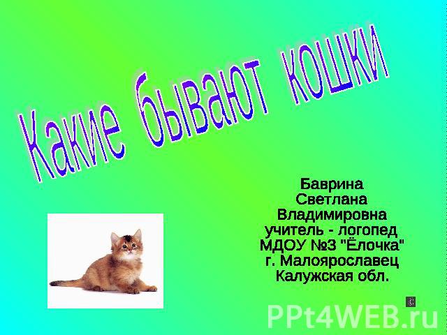 Какие бывают кошки Баврина СветланаВладимировнаучитель - логопедМДОУ №3 