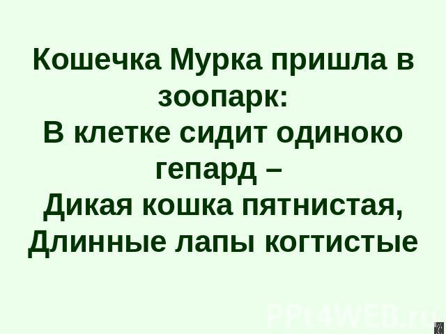 Кошечка Мурка пришла в зоопарк:В клетке сидит одиноко гепард – Дикая кошка пятнистая,Длинные лапы когтистые