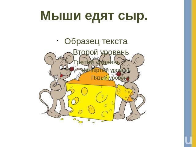 Мыши едят сыр.