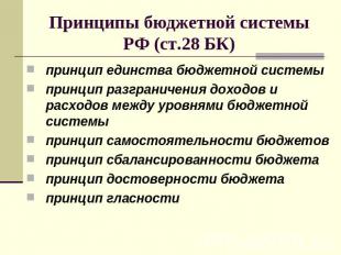 Принципы бюджетной системы РФ (ст.28 БК) принцип единства бюджетной системы прин