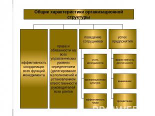 Общие характеристики организационной структуры эффективность координации всех фу