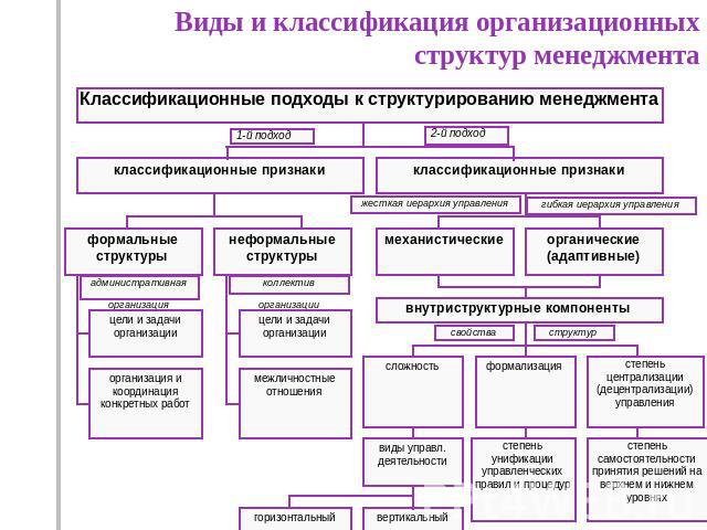 Виды и классификация организационных структур менеджмента