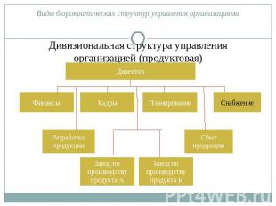 Дивизиональная структура управления организацией (продуктовая)