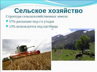 Сельское хозяйство Структура сельскохозяйственных земель:57% распахано под с\х у