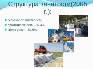 Структура занятости(2005 г.): сельское хозяйство 5 %, промышленность – 32,4%, сф