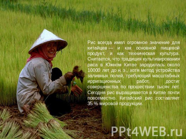 Рис всегда имел огромное значение для китайцев — и как основной пищевой продукт, и как техническая культура. Считается, что традиция культивирования риса в Южном Китае зародилась около 10000 лет до н. э., хотя метод устройства заливных полей, требую…