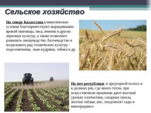 Сельское хозяйство На севере Казахстана климатические условия благоприятствуют в