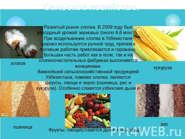 Сельское хозяйство. Развитый рынок хлопка. В 2009 году был рекордный урожай зерновых (около 6,6 млн т). При возделывании хлопка в Узбекистане широко используется ручной труд, причем к полевым работам привлекаются и горожане. Большая часть работ как …
