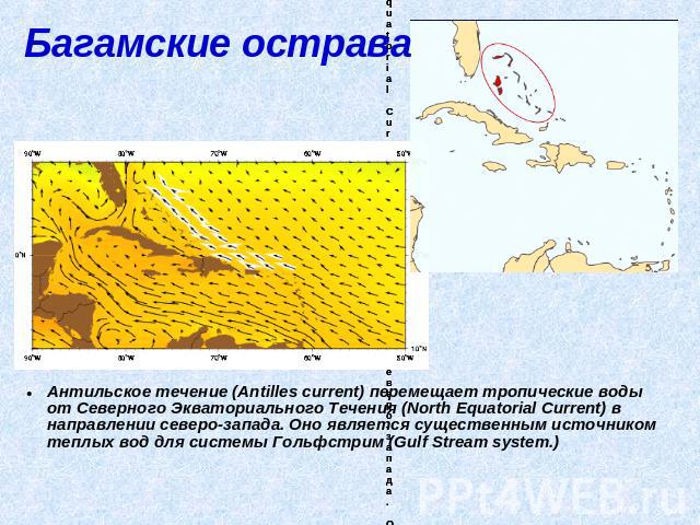 Багамские острава Антильское течение (Antilles current) перемещает тропические воды от Северного Экваториального Течения (North Equatorial Current) в направлении северо-запада. Оно является существенным источником теплых вод для системы Гольфстрим (…