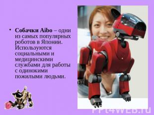 Собачки Aibo – одни из самых популярных роботов в Японии. Используются социальны