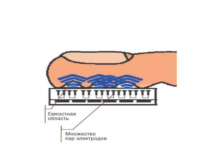 Типы сканеров отпечатков пальцев Емкостные сенсоры