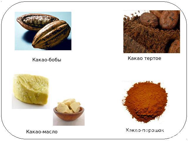 Какао-бобы Какао тертоеКакао-масло Какао-порошок