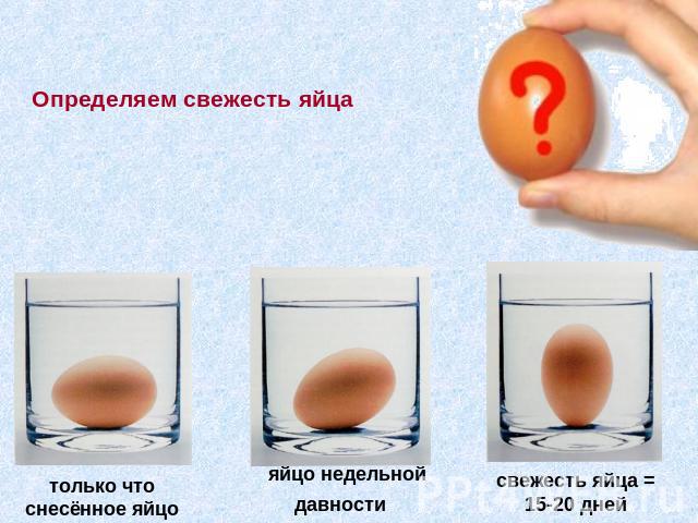 Определяем свежесть яйца только что снесённое яйцо яйцо недельной давности свежесть яйца = 15-20 дней