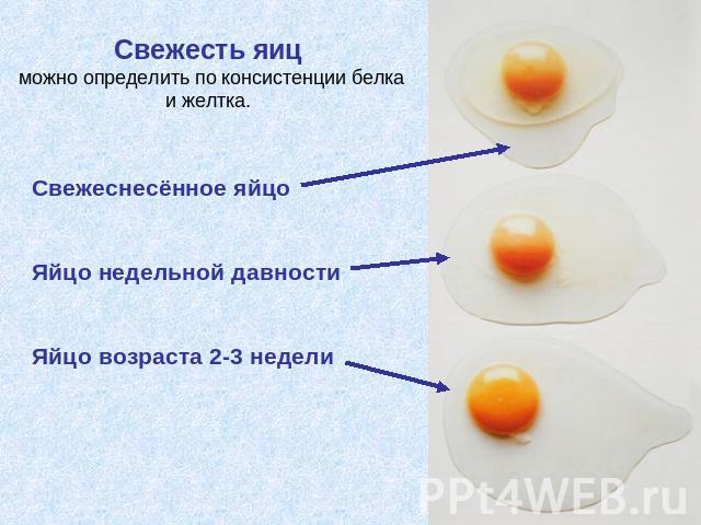 Свежесть яиц можно определить по консистенции белка и желтка. Свежеснесённое яйцоЯйцо недельной давности Яйцо возраста 2-3 недели