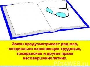 Закон предусматривает ряд мер, специально охраняющих трудовые, гражданские и дру