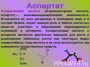 Аспартат Аспарагиновая кислота (α-аминоянтарная кислота, аспартат) — моноаминоди